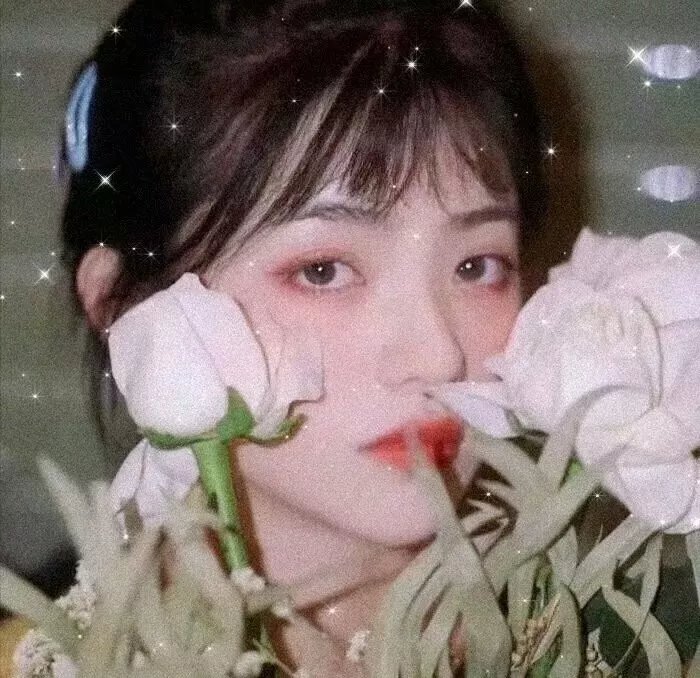 桃花含露又春风