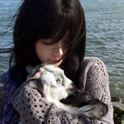 献给检察官的玫瑰花